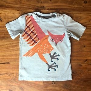 Boys size 5 Hawk Tea Collection shirt